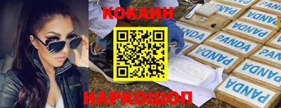 МДПВ Кингисепп