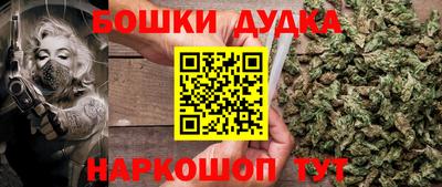 индика Кинель