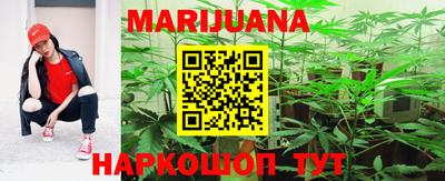 индика Кинель
