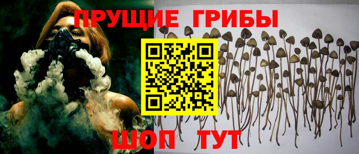 Псилоцибиновые грибы GOLDEN TEACHER  Вход с VPN  Кострома 